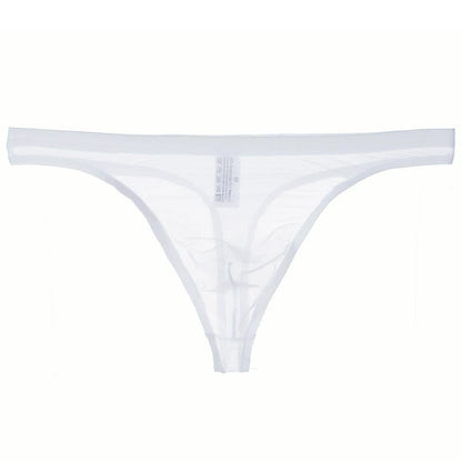 Men's Sexy Silk Mesh Bikini Thin Thong