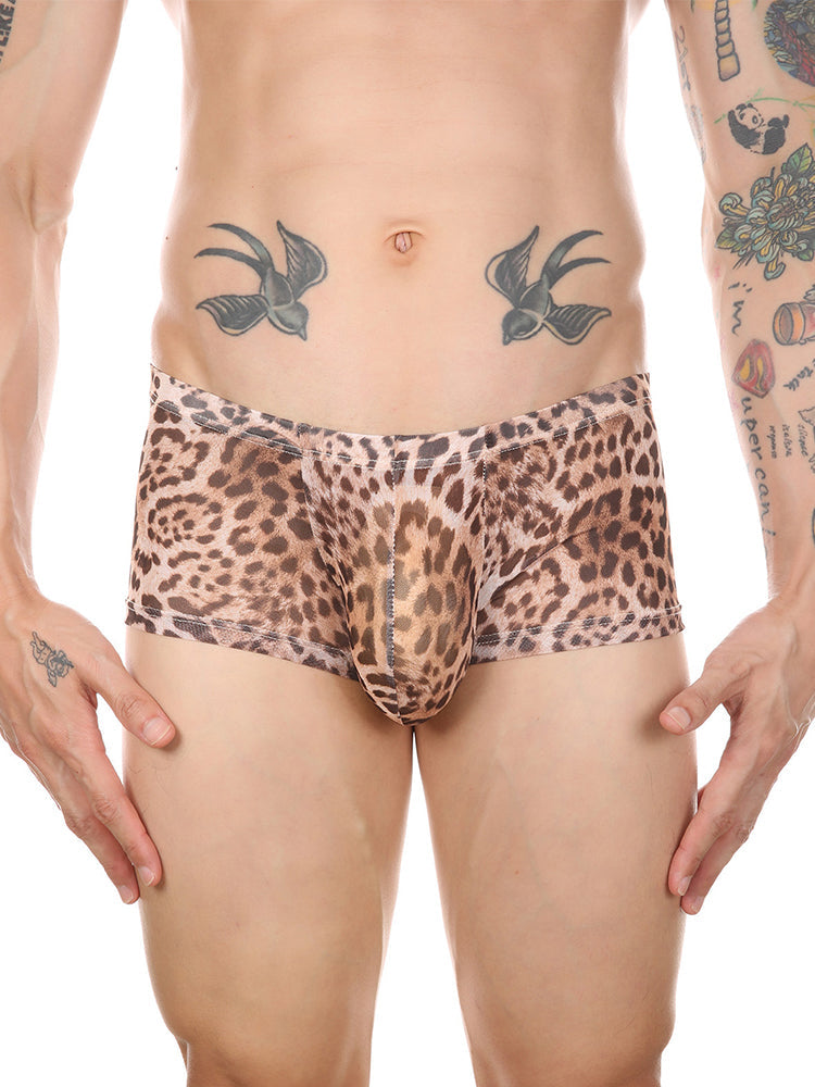 Leopard Print See-through Mesh Trunks
