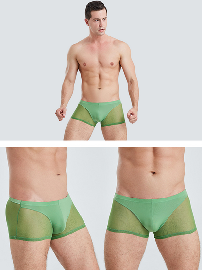 Sexy Panelled Mesh Trunks For Men