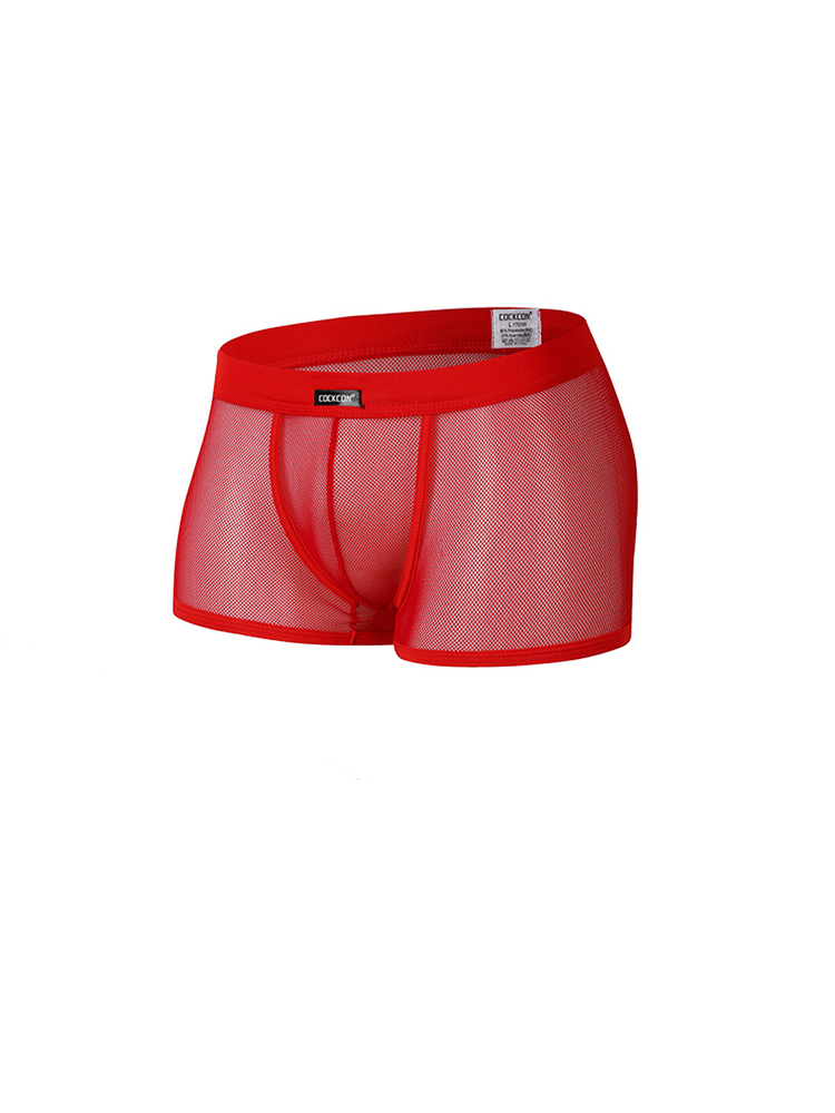 Men's Sexy Transparent Mesh Trunks