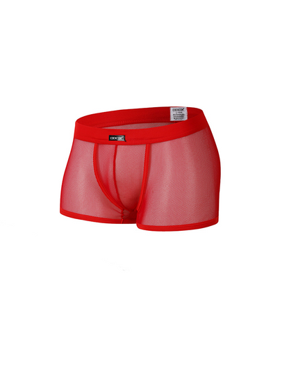 Men's Sexy Transparent Mesh Trunks