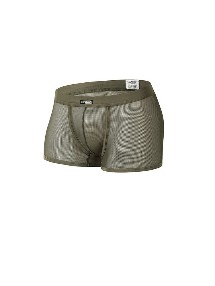 Men's Sexy Transparent Mesh Trunks
