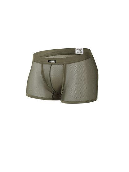 Men's Sexy Transparent Mesh Trunks