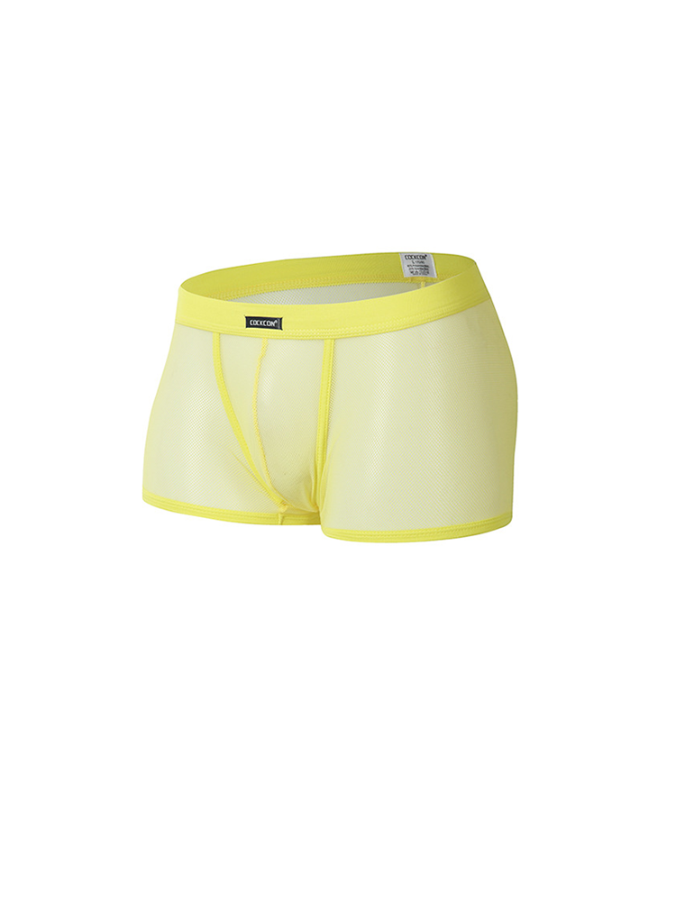 Men's Sexy Transparent Mesh Trunks
