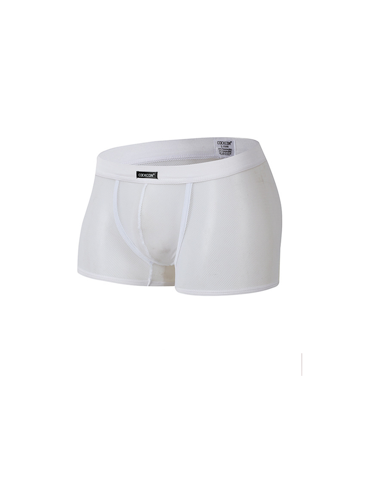 Men's Sexy Transparent Mesh Trunks