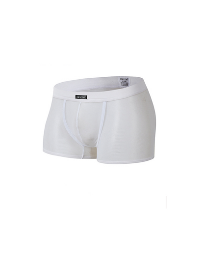 Men's Sexy Transparent Mesh Trunks