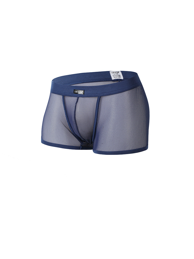 Men's Sexy Transparent Mesh Trunks