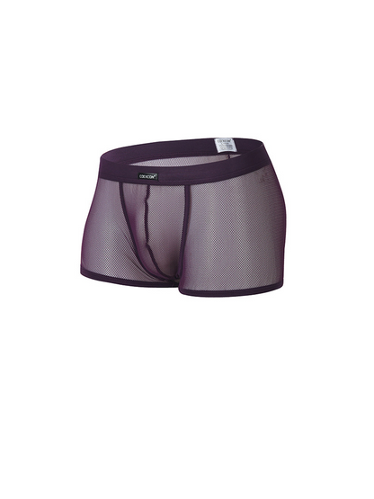 Men's Sexy Transparent Mesh Trunks