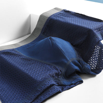🏆Enjoy the highest quality🏆Summer Men's Breathable Mesh Cooling Panties