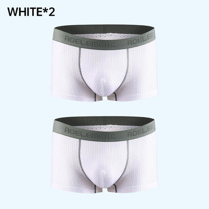 🏆Enjoy the highest quality🏆Summer Men's Breathable Mesh Cooling Panties