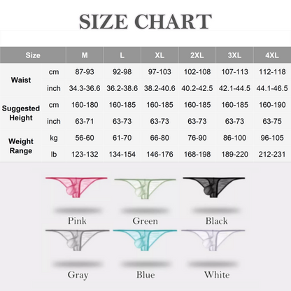 Men's Lightweight Sheer Briefs